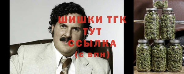 дживик Слюдянка