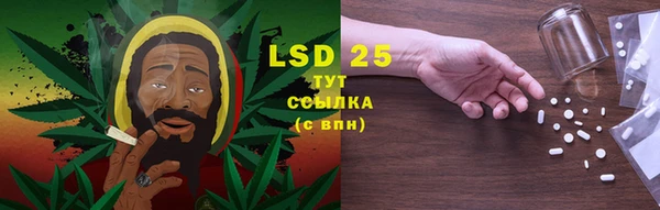 PSILOCYBIN Снежинск