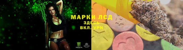 PSILOCYBIN Снежинск