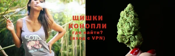 PSILOCYBIN Снежинск