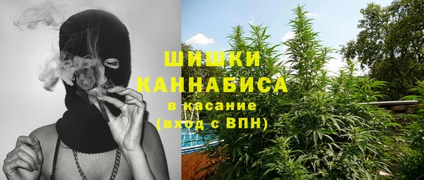 дживик Слюдянка