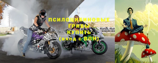 дживик Слюдянка