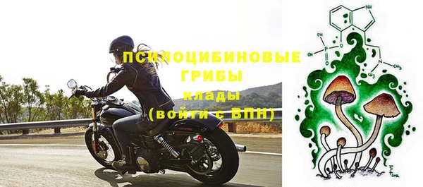 PSILOCYBIN Снежинск