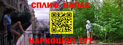 Альфа ПВП Будённовск