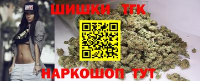 Альфа ПВП Будённовск
