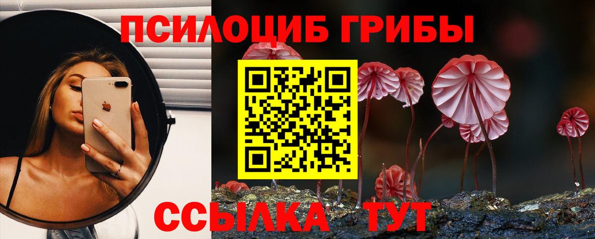 Псилоцибиновые грибы прущие грибы Уварово